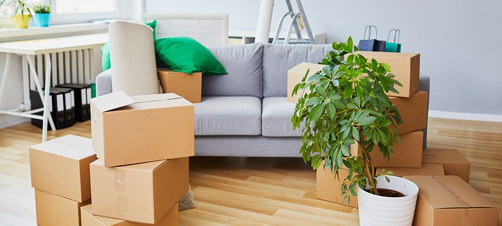 Household Moving Costs
